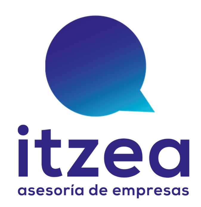 Itzea, Asesoría de empresas